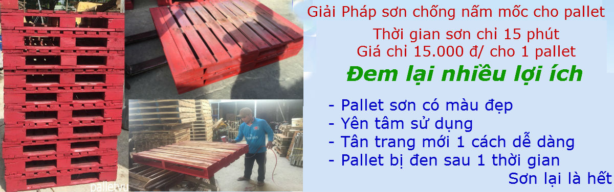 bannerpalletsn