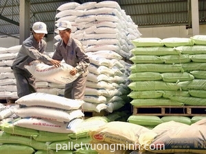 palletgokebaocam