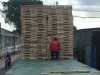 go-pallet-vm-bien-hoa-dong-nai-2019-3 - ảnh nhỏ  1